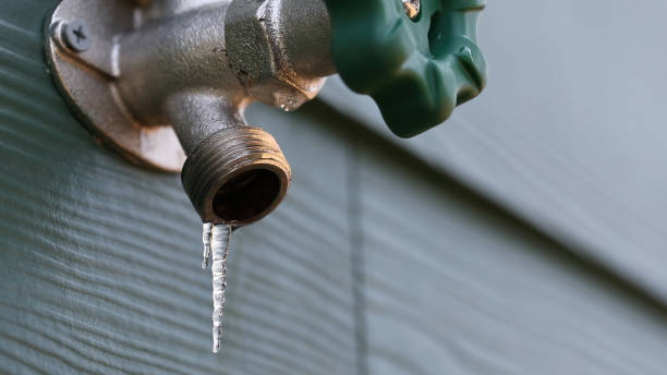 Best Local Plumber Services  in Villa Park, CA