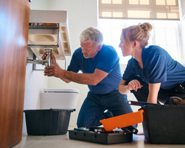 Best Plumbing Inspection Services  in Villa Park, CA